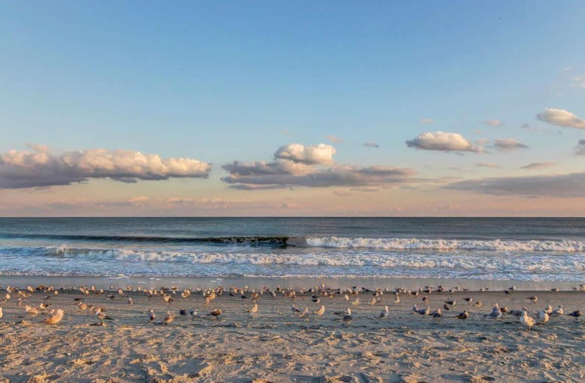 *Oceanfront Retreat*King Bed *Great Pools, Hot Tubs+++*O41 Βίλα Μιρτλ Μπιτς Εξωτερικό φωτογραφία